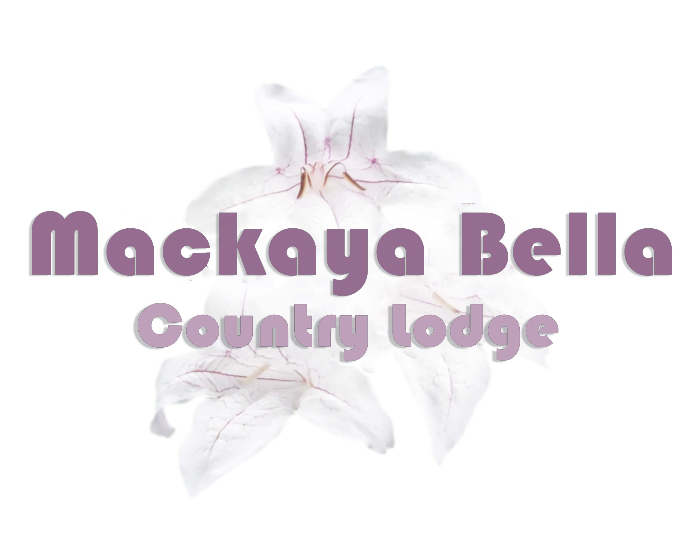 Mackaya Bella Country Lodge | Ukhahlamba Drakensberg Logo